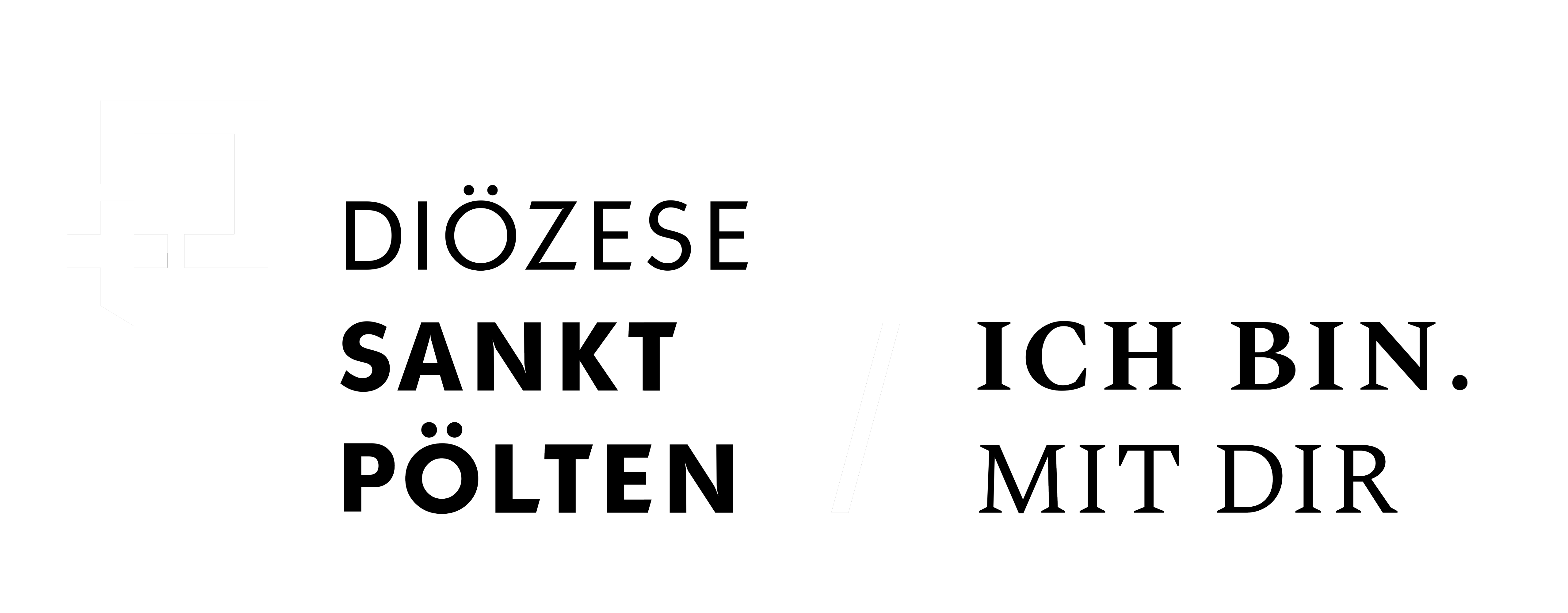 dsp-logo-mit-claim